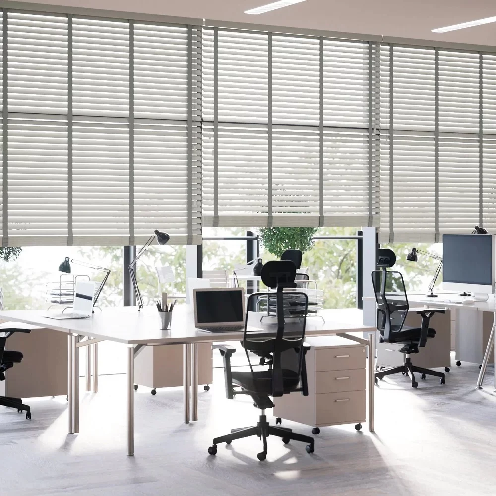 Commercial Modern Blinds